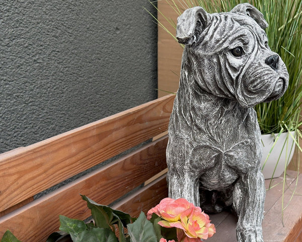 Steinfigur American Bulldog