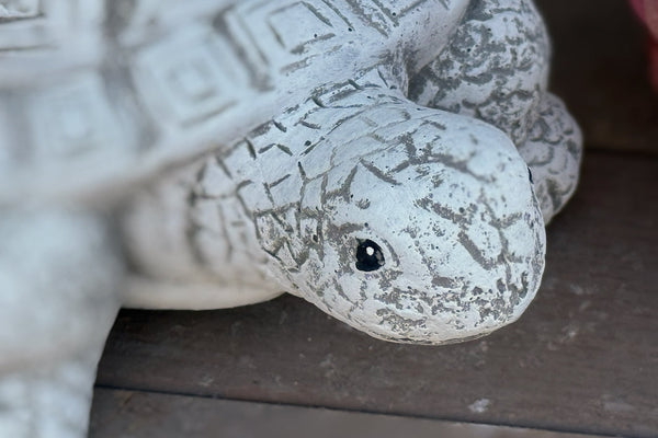Nahaufnahme Schildkröte aus Steinguss detailreiche Gartenfigur Tierfigur wetterfest
