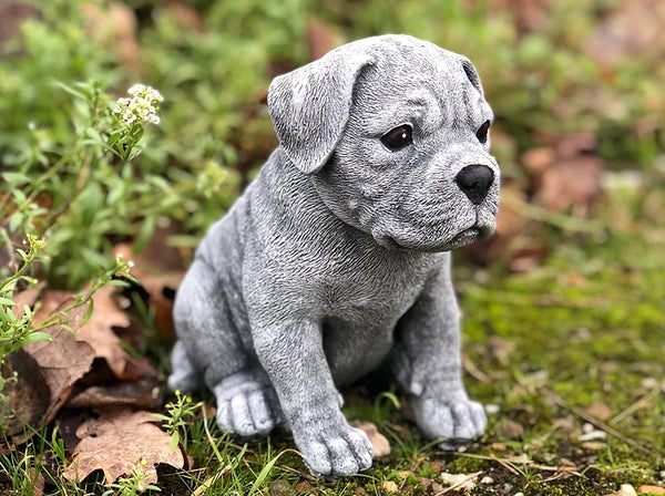 Steinfigur Hund Boxer Welpe