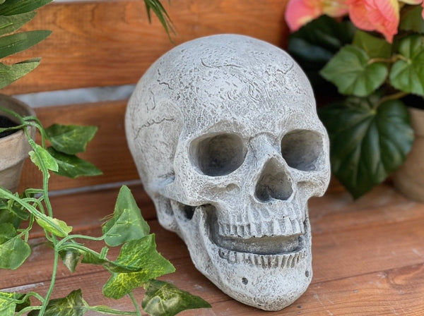 Steinfigur Skull Totenschädel