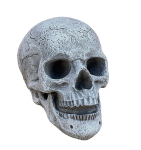 Steinfigur Steinstatue Steinskulptur Schädel Totenkopf Totenschädel Skull Sugarskull